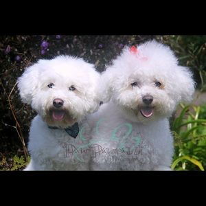 Meet your Posher, Lynette